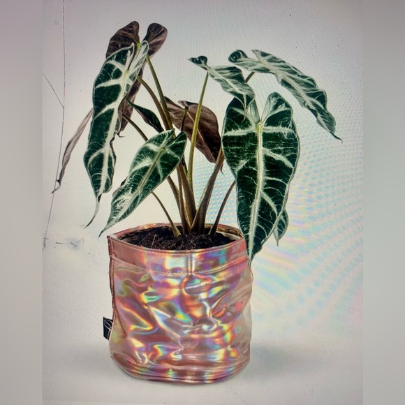 Urban Jaga 2 Pink Holographic Plant Basket Decorative Pot Cover Organizer New - Picture 2 of 8